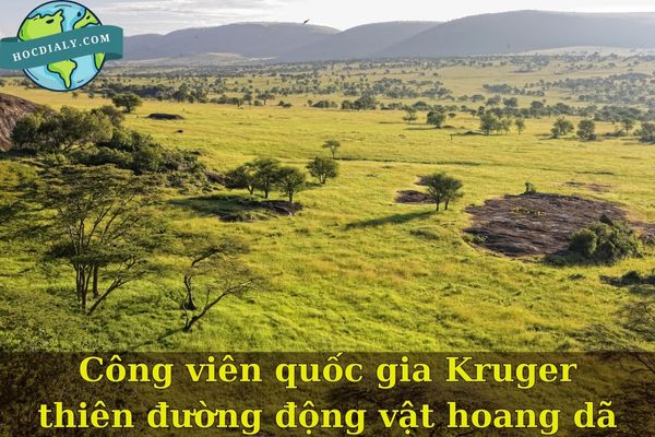 Công viên quốc gia Kruger thiên đường động vật hoang dã