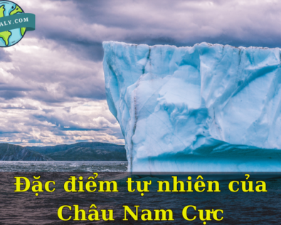 Đặc điểm tự nhiên của Châu Nam Cực: Vị trí địa lý, thực vật