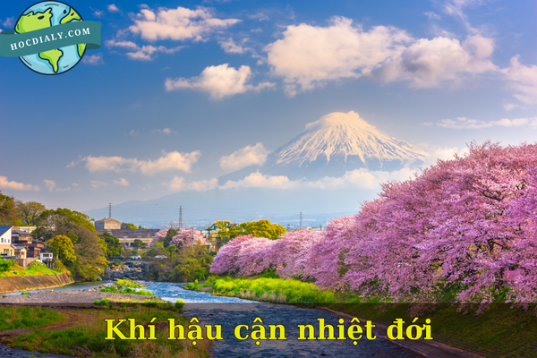 Khí hậu cận nhiệt đới