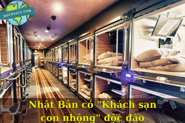 Nhật Bản có "Khách sạn con nhộng" độc đáo 