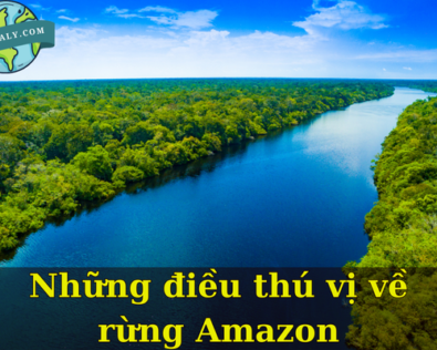 Những điều thú vị về rừng Amazon “Lá phổi xanh” của trái đất