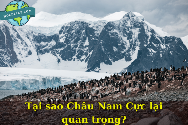 Tại sao Châu Nam Cực lại quan trọng?