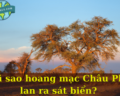 Nguyên nhân Vì sao hoang mạc Châu Phi lan ra sát biển? 