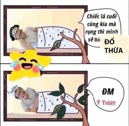 Meme ý trời cực hài