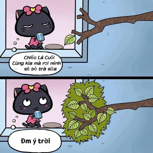 Meme vui nhộn chủ đề ý trời