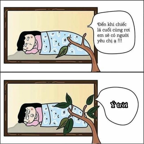 Ảnh hài hước meme ý trời