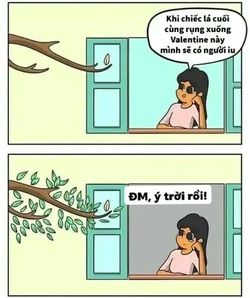 Meme châm biếm ý trời