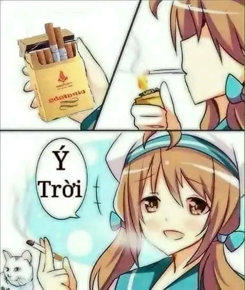 Ý trời meme siêu hài