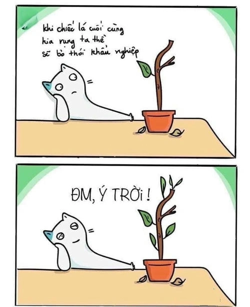 meme ý trời độc đáo