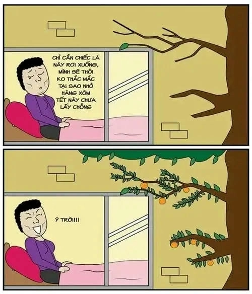 Ảnh meme hài hước về ý trời