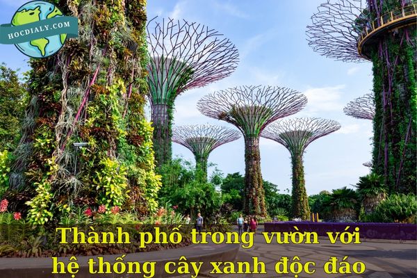 "Thành phố trong vườn" với hệ thống cây xanh độc đáo