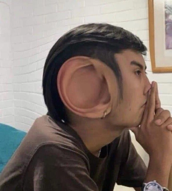 Mèo Vô Tri Meme Hài Hước