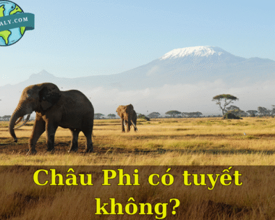 Châu Phi có tuyết không? Sự thật bất ngờ về lục địa nóng