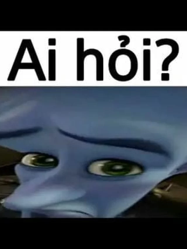 Tổng hợp 161+ meme ai hỏi mới nhất, đảm bảo cười không ngớt