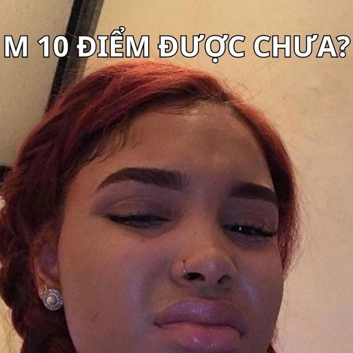 meme mèo cầm 10 điểm