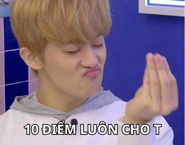 meme 10 điểm học tập