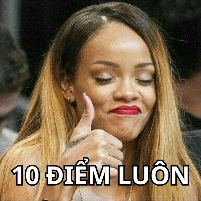 meme 10 điểm mèo