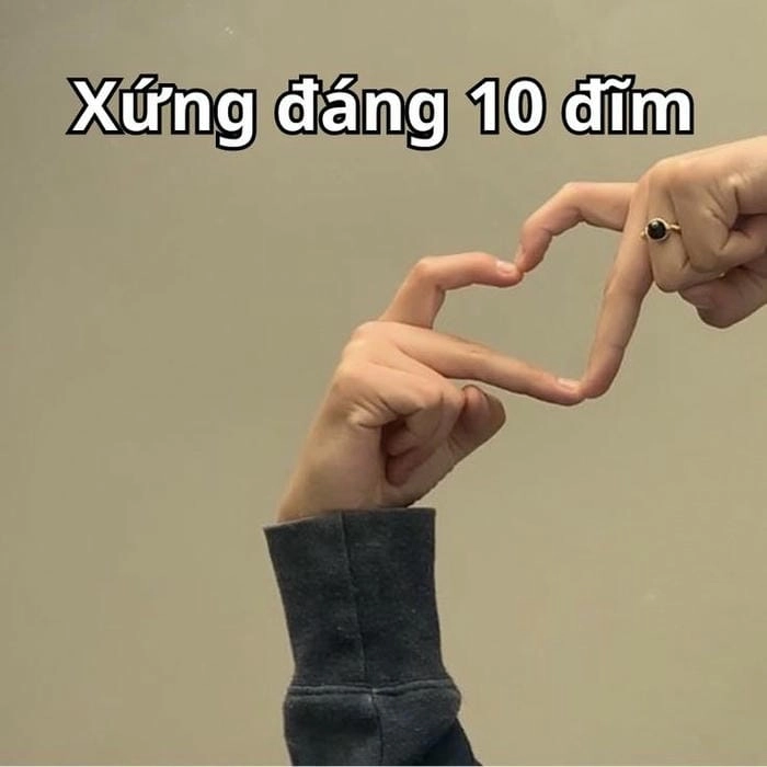 ảnh meme 10 điểm