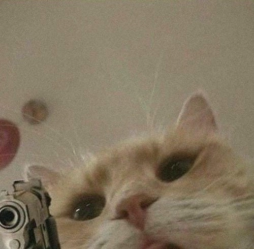 Meme cầm súng bắn 