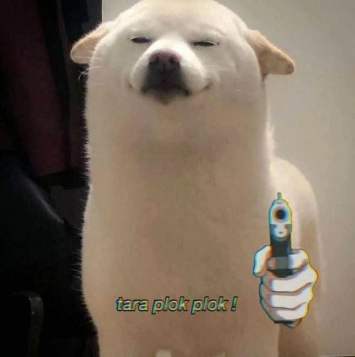Hình meme hài cầm súng 