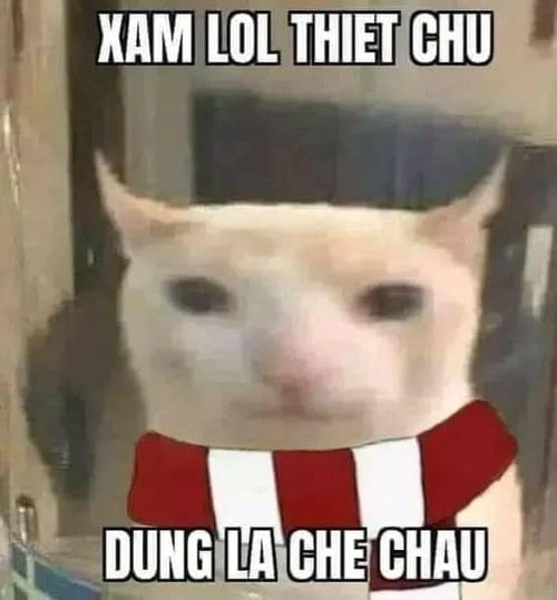 Meme chửi chất như nước cất