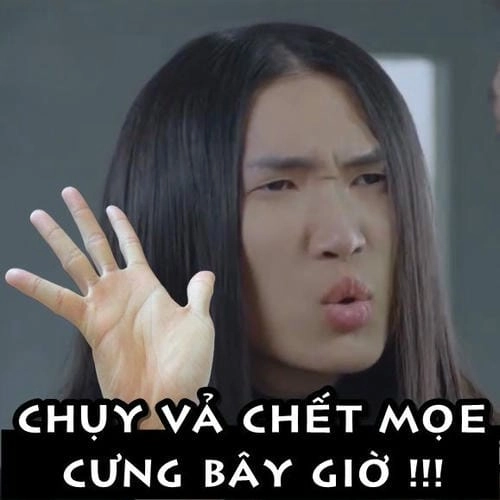 Meme chửi bậy và đời sống