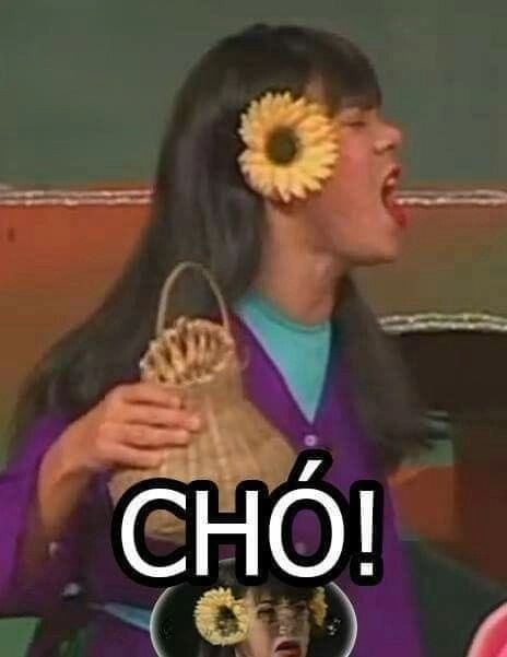Meme chửi gây sốc