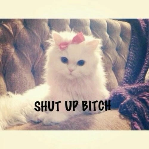 Meme chửi bậy gây sốt