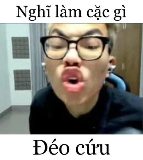 Chửi meme thú vị