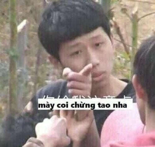 Meme chửi ngu hài hước
