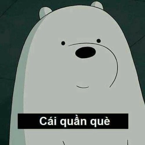 Meme chửi ngu ngốc