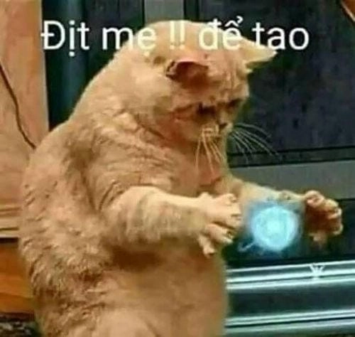 Meme chửi bậy cực mạnh
