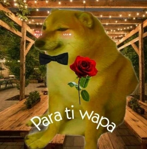 Meme mèo tặng hoa đẹp