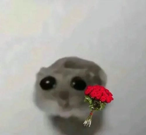 Ảnh meme tặng hoa ngộ nghĩnh