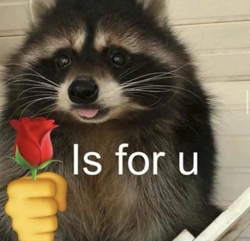 Meme tặng hoa đáng yêu