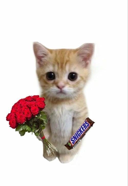 Meme tặng hoa siêu ngầu