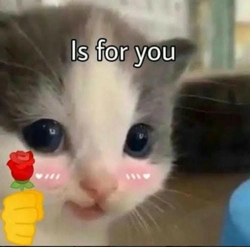 Meme tặng hoa cho crush