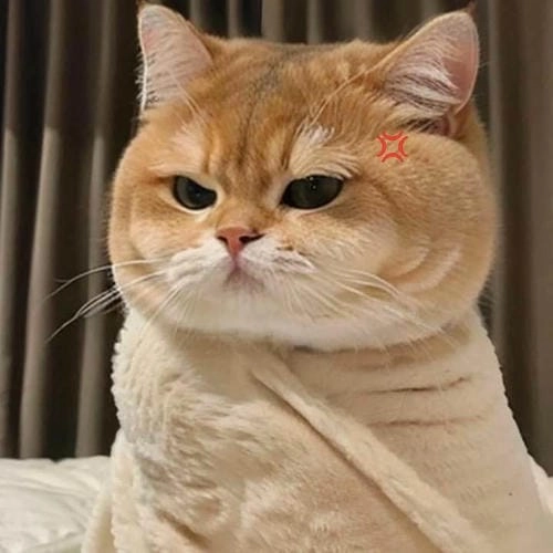 Meme tức giận siêu trend