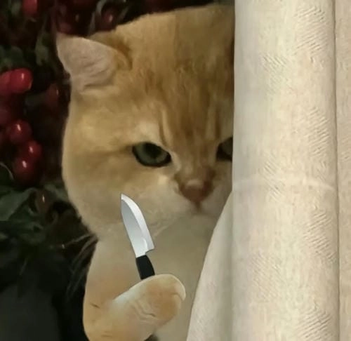Meme giận cute siêu vui