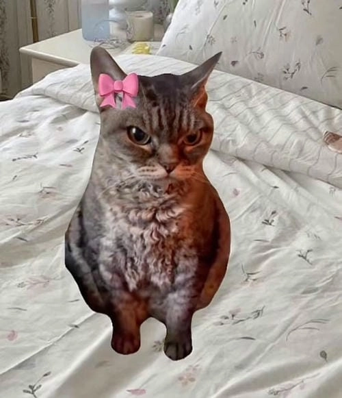 Meme tức giận dễ cười