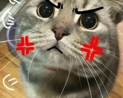 Top 99+ Meme Tức Giận Cute, Hài Hước Nhất Hot Trend 2025