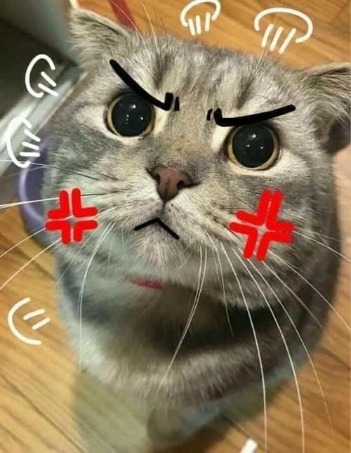 Meme tức giận vui vẻ