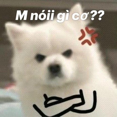 Meme giận hài cực cute