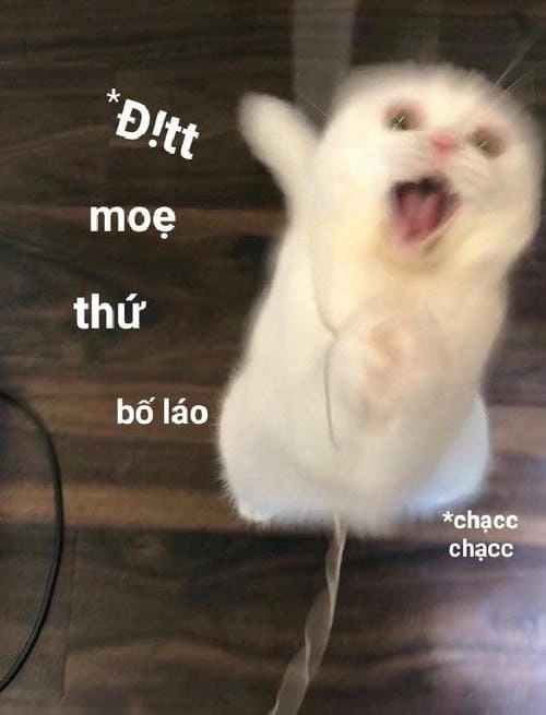 Hình ảnh meme giận cute