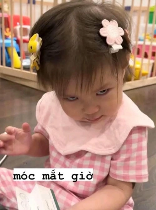 Meme tức giận dễ thương