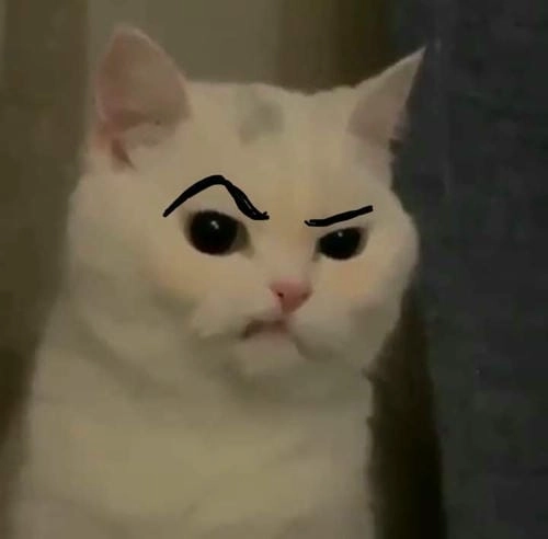 Ảnh meme giận dỗi cute