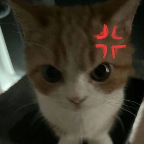 Meme tức giận hot nhất