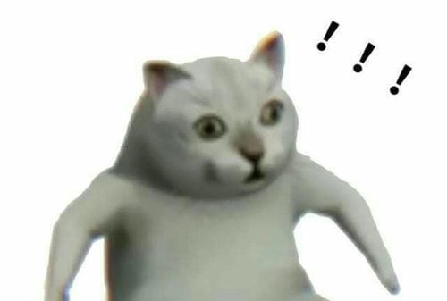 Mèo Vô Tri Siêu Ngộ Nghĩnh