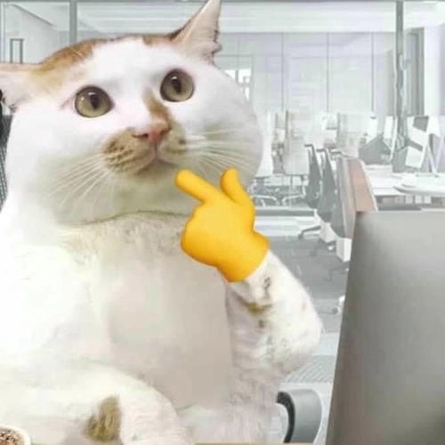 Mèo Vô Tri Hài Hước