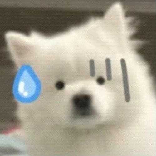 Hình Ảnh Meme Vô Tri